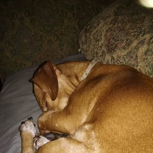 Meet your Posher, Tammy